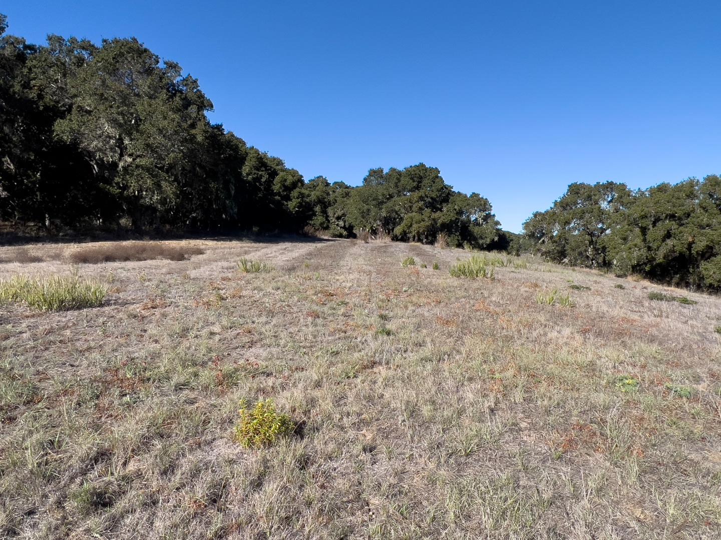Detail Gallery Image 4 of 11 For 7 Holding Field Run, Carmel Valley,  CA 93923 - – Beds | – Baths