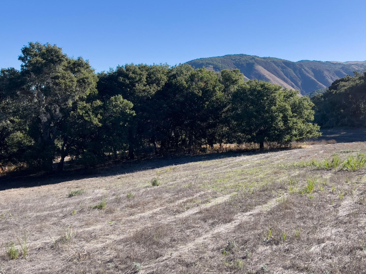 Detail Gallery Image 6 of 11 For 7 Holding Field Run, Carmel Valley,  CA 93923 - – Beds | – Baths
