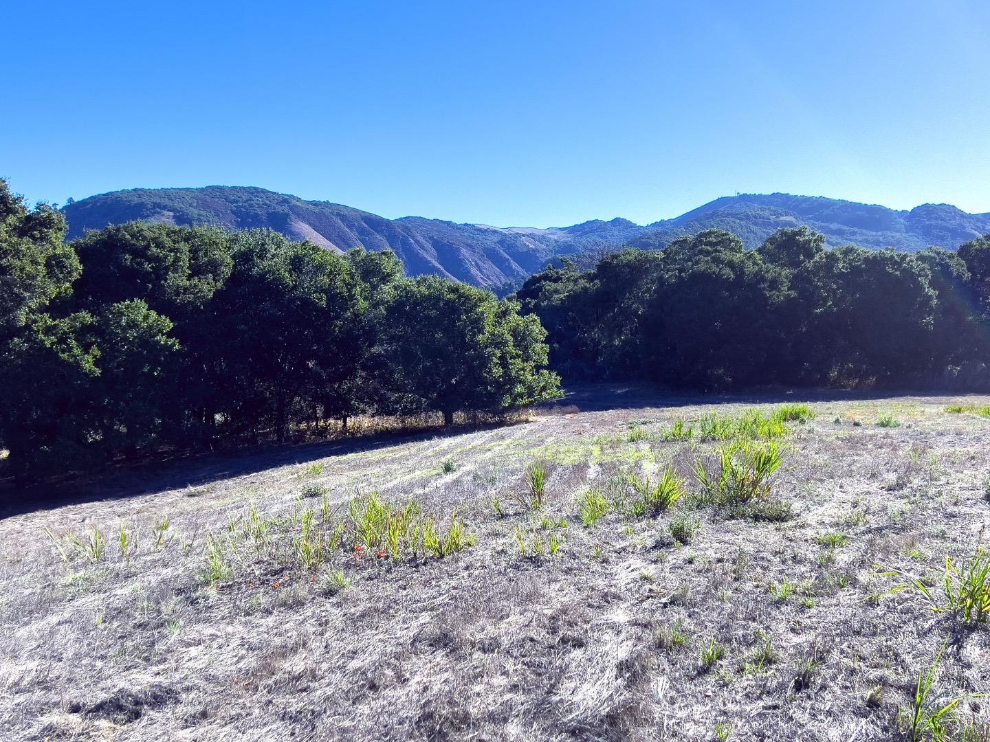 Detail Gallery Image 7 of 11 For 7 Holding Field Run, Carmel Valley,  CA 93923 - – Beds | – Baths
