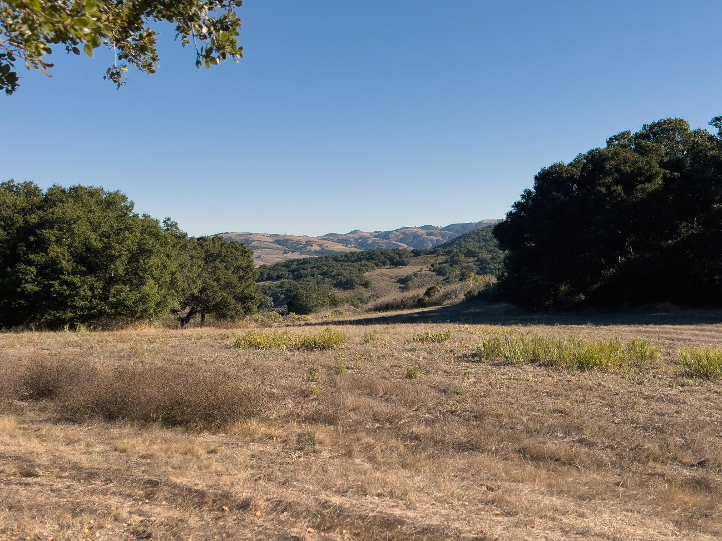 Detail Gallery Image 9 of 11 For 7 Holding Field Run, Carmel Valley,  CA 93923 - – Beds | – Baths