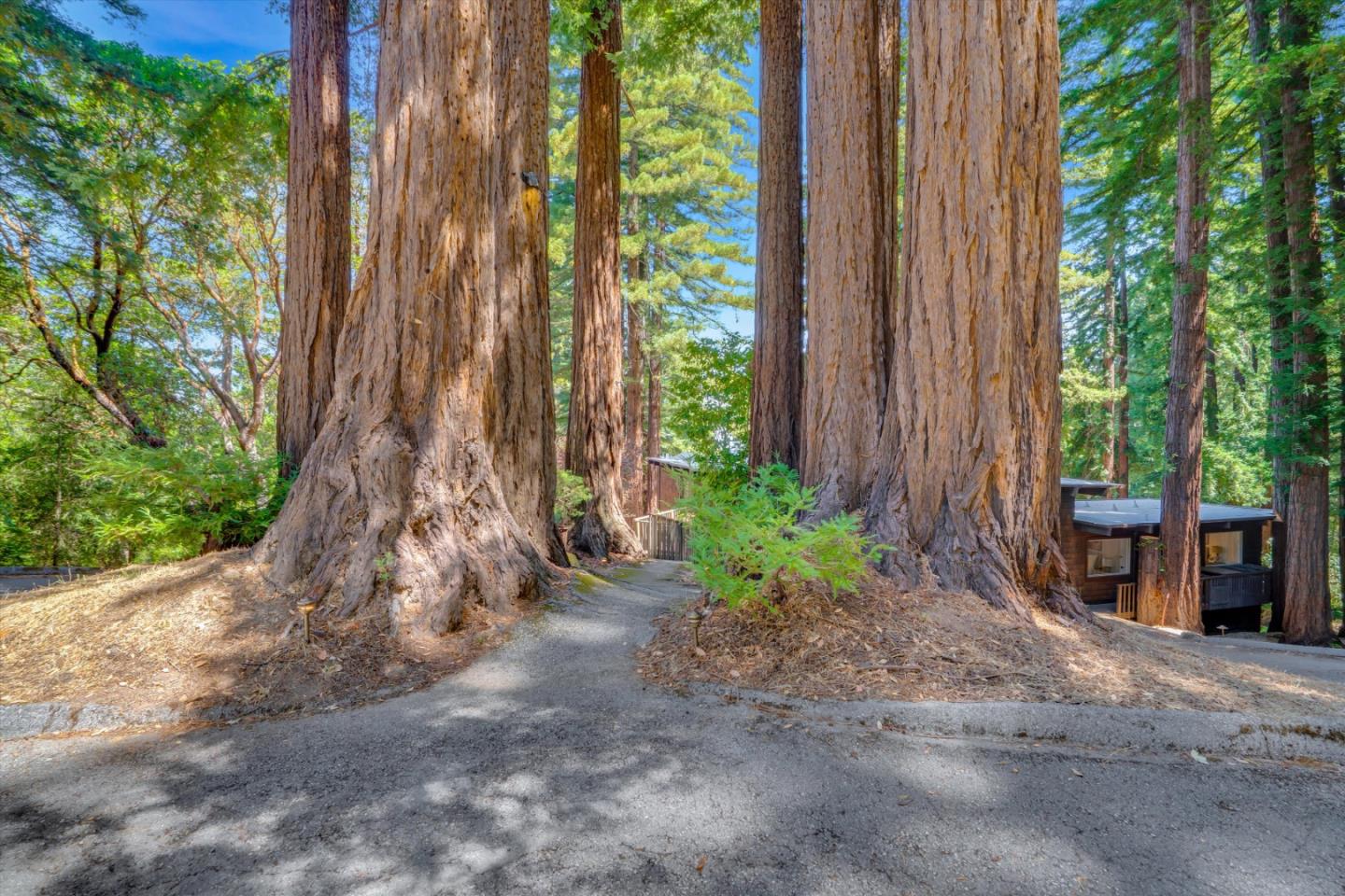 Detail Gallery Image 47 of 56 For 12 Summit Rd, Woodside,  CA 94062 - 4 Beds | 3/1 Baths