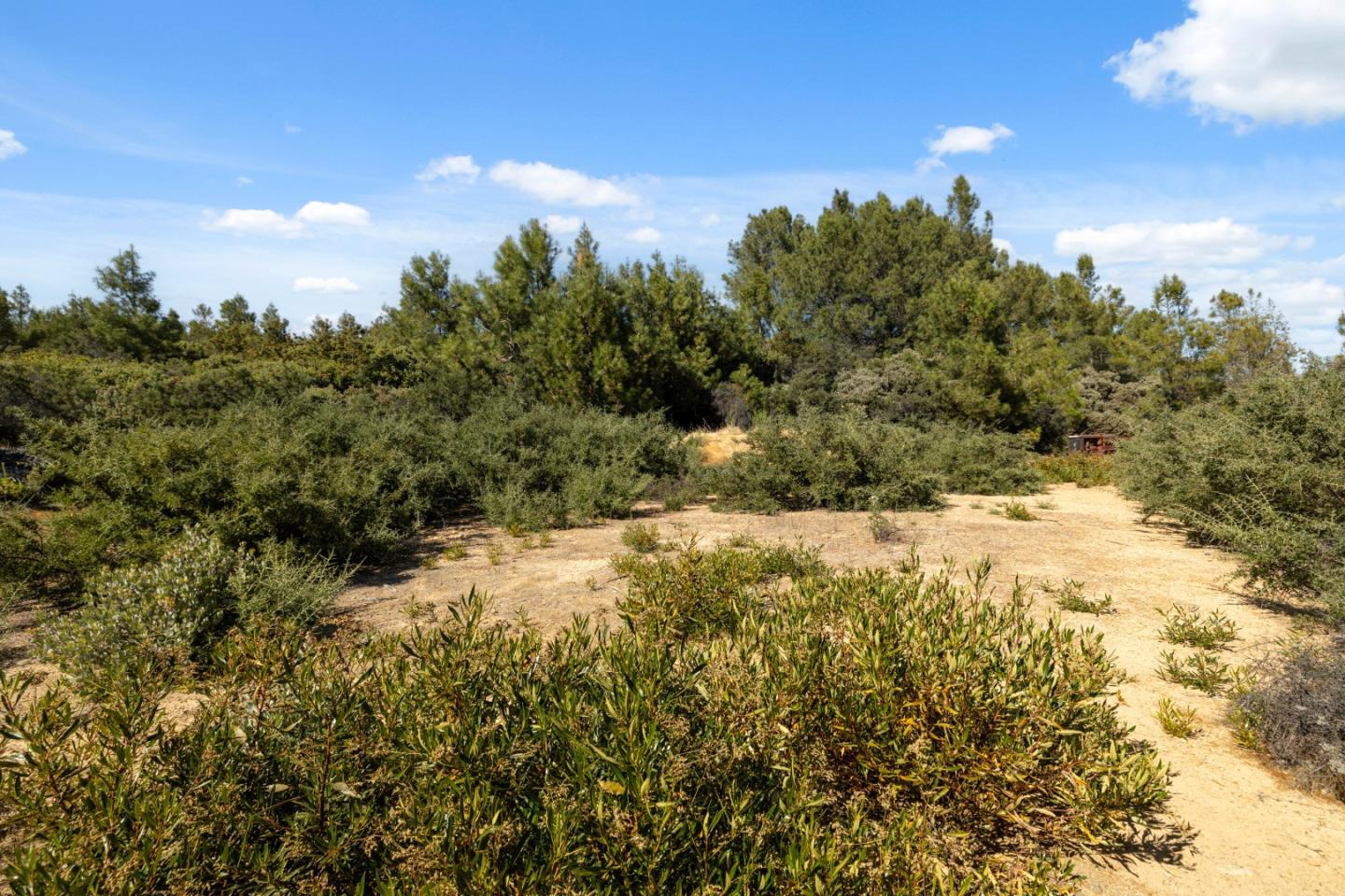 Detail Gallery Image 10 of 17 For Lot 42 Summit Rd, Los Gatos,  CA 95033 - – Beds | – Baths