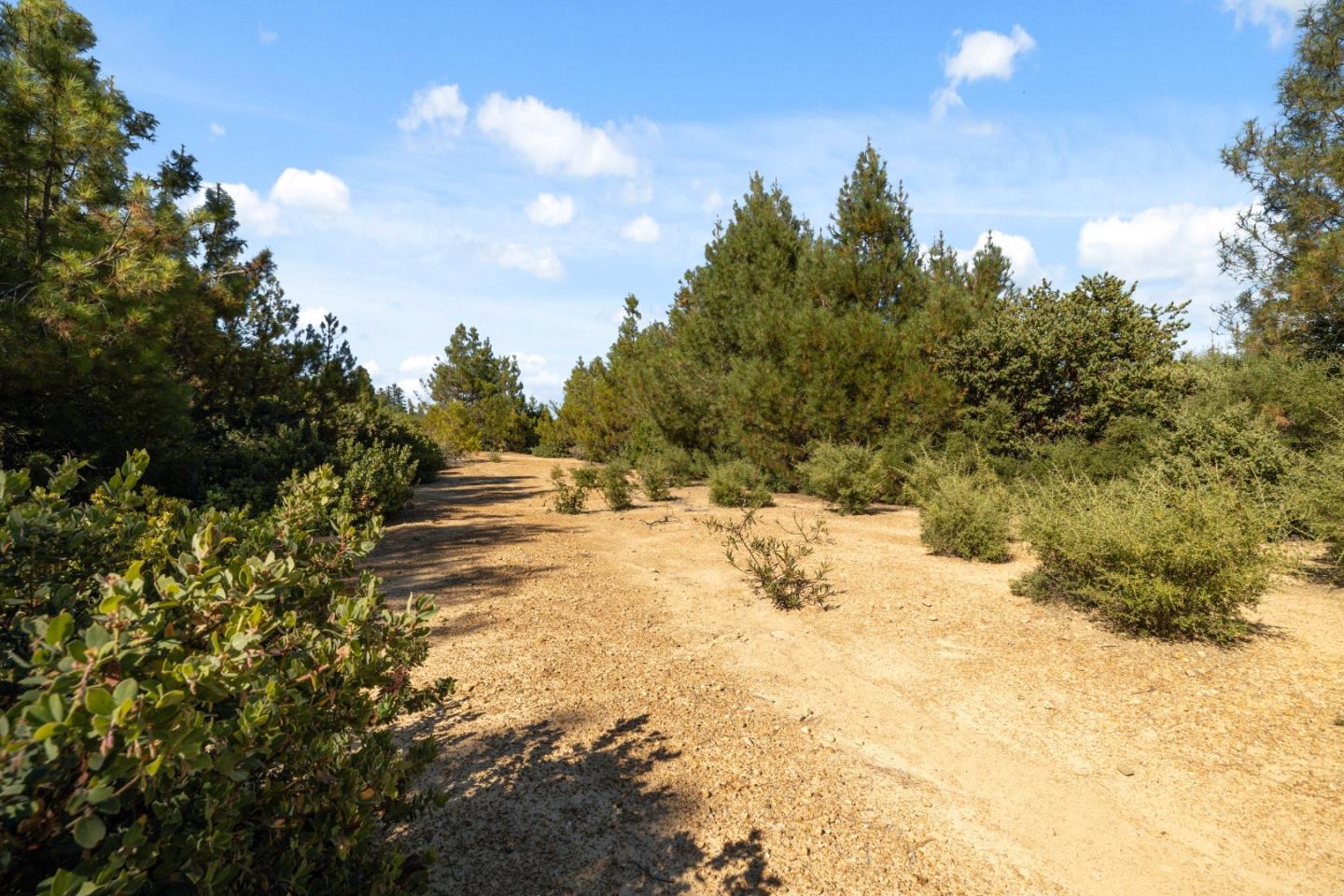 Detail Gallery Image 11 of 17 For Lot 42 Summit Rd, Los Gatos,  CA 95033 - – Beds | – Baths