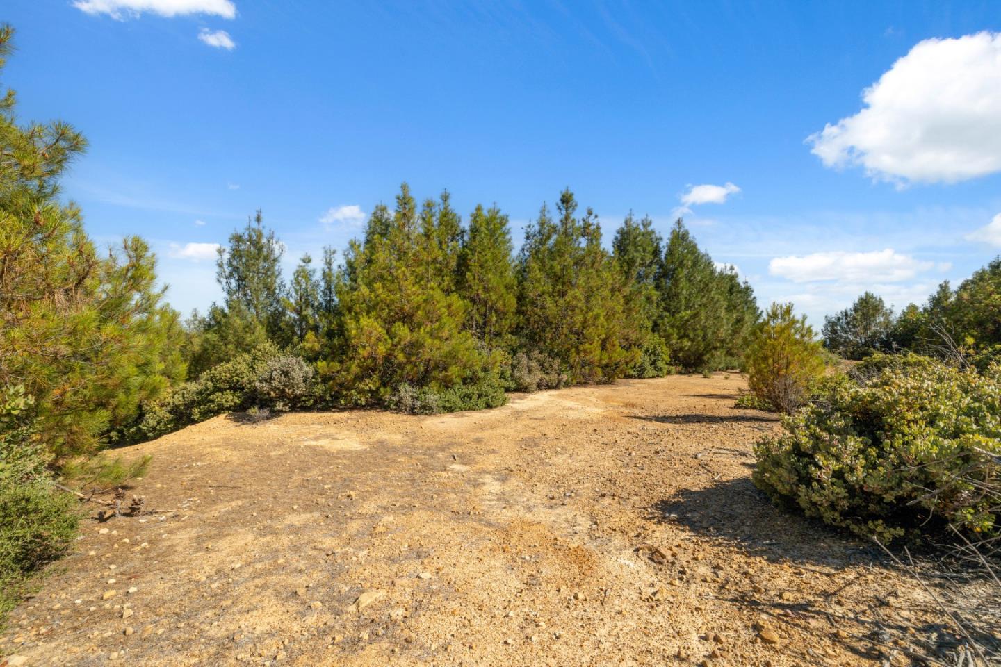 Detail Gallery Image 4 of 17 For Lot 42 Summit Rd, Los Gatos,  CA 95033 - – Beds | – Baths