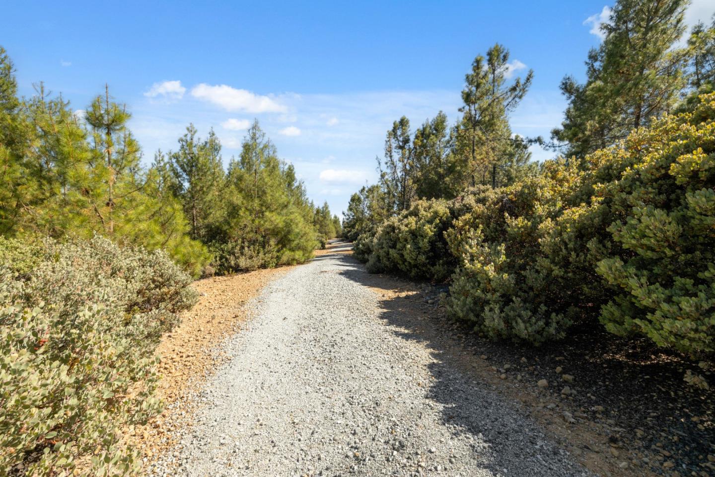 Detail Gallery Image 7 of 17 For Lot 42 Summit Rd, Los Gatos,  CA 95033 - – Beds | – Baths
