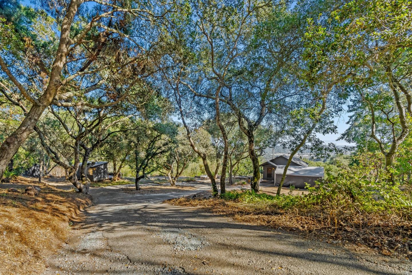Detail Gallery Image 15 of 56 For 579 San Juan Pass, Corralitos,  CA 95076 - 1 Beds | 1 Baths