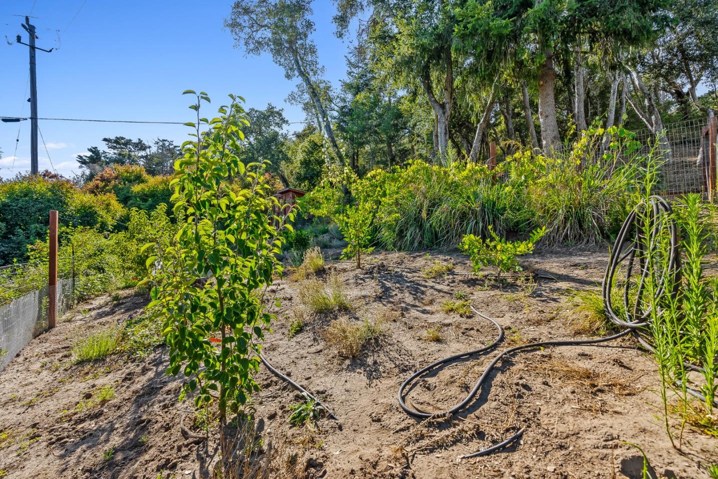 Detail Gallery Image 30 of 56 For 579 San Juan Pass, Corralitos,  CA 95076 - 1 Beds | 1 Baths