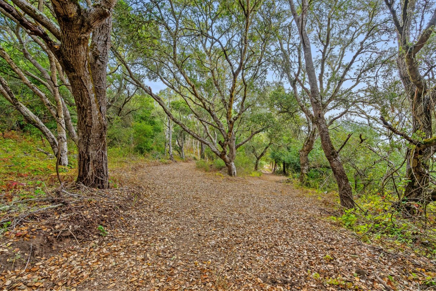 Detail Gallery Image 38 of 56 For 579 San Juan Pass, Corralitos,  CA 95076 - 1 Beds | 1 Baths