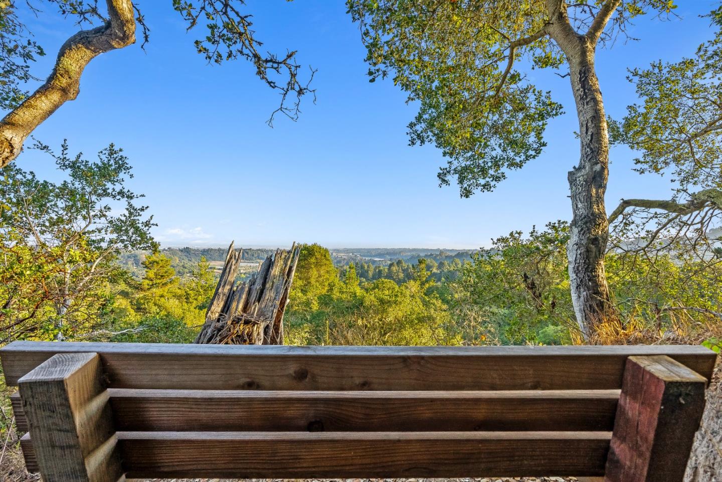 Detail Gallery Image 41 of 56 For 579 San Juan Pass, Corralitos,  CA 95076 - 1 Beds | 1 Baths