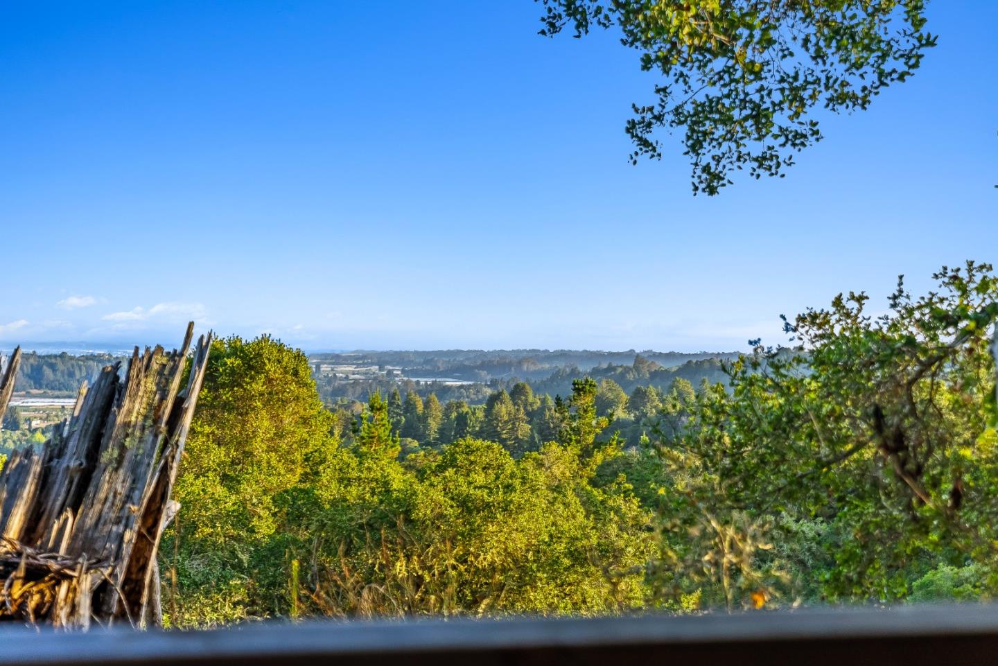 Detail Gallery Image 42 of 56 For 579 San Juan Pass, Corralitos,  CA 95076 - 1 Beds | 1 Baths