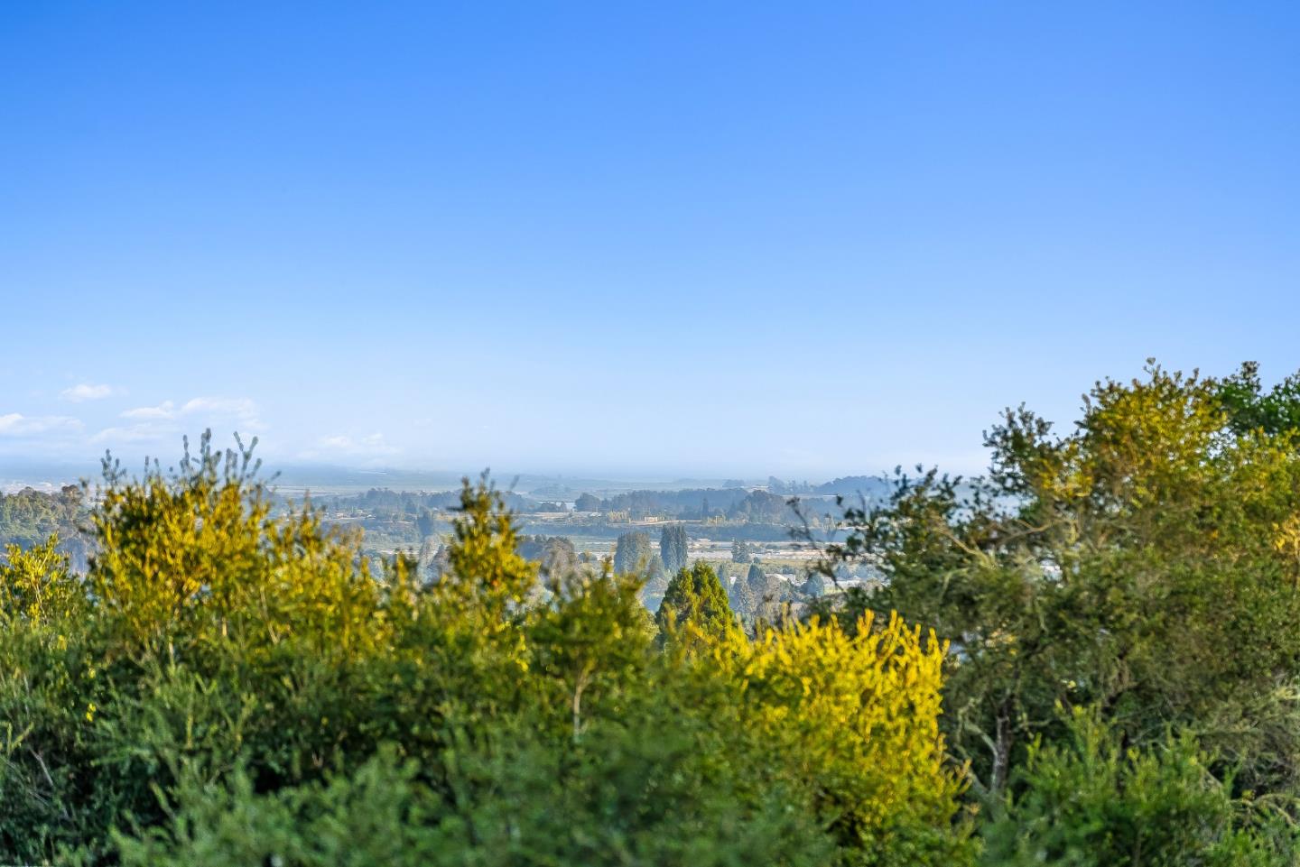 Detail Gallery Image 43 of 56 For 579 San Juan Pass, Corralitos,  CA 95076 - 1 Beds | 1 Baths
