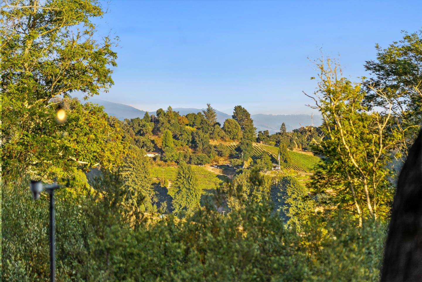 Detail Gallery Image 44 of 56 For 579 San Juan Pass, Corralitos,  CA 95076 - 1 Beds | 1 Baths