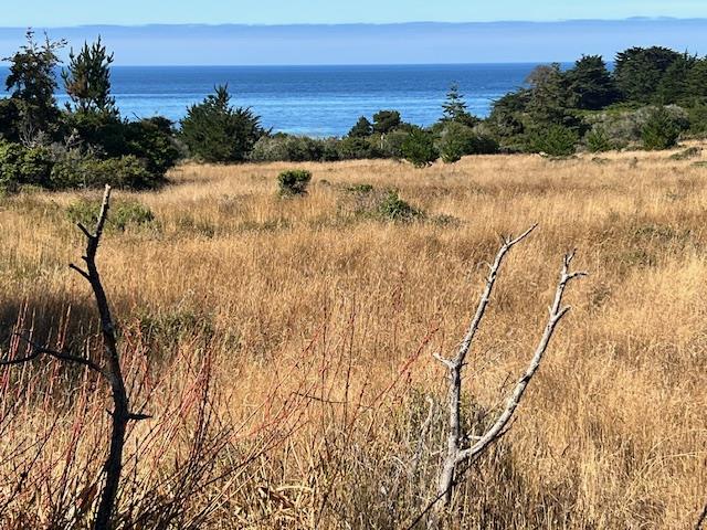 Detail Gallery Image 5 of 6 For 375 Spur Close, The Sea Ranch,  CA 95497 - – Beds | – Baths