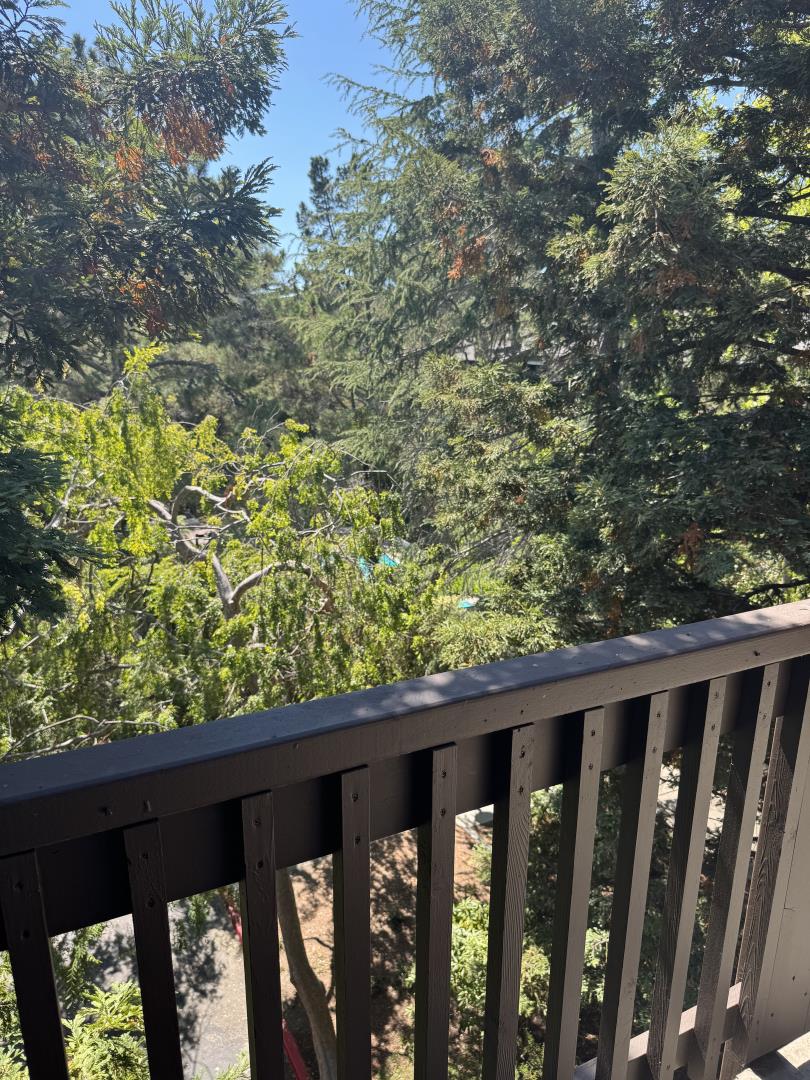 Detail Gallery Image 6 of 10 For 3322 Brittan Ave #11,  San Carlos,  CA 94070 - 2 Beds | 2 Baths