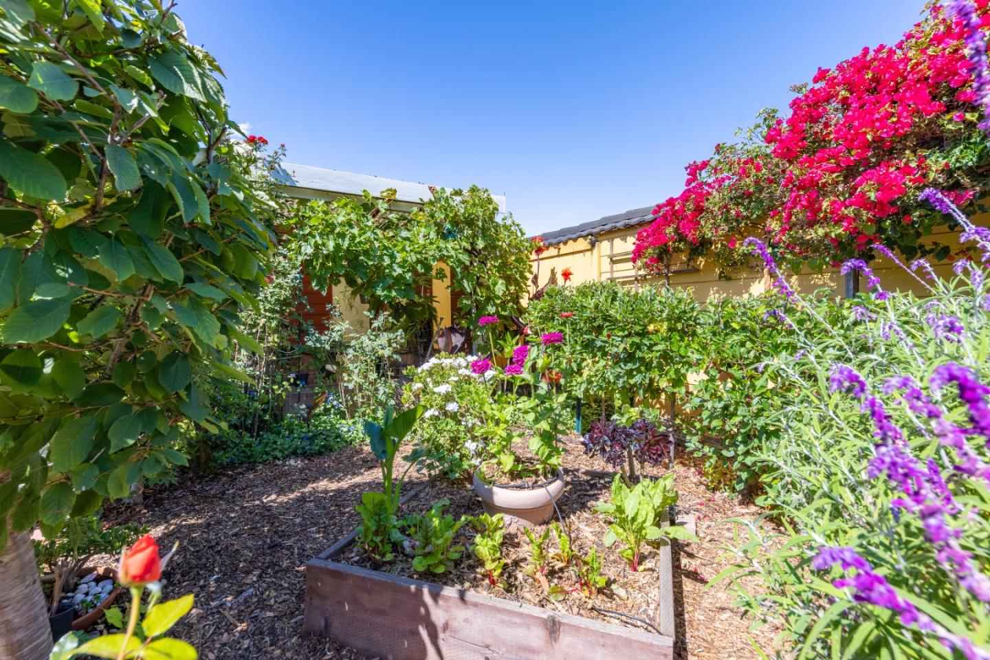 Detail Gallery Image 40 of 47 For 473 Chestnut Ave, San Bruno,  CA 94066 - 2 Beds | 1 Baths