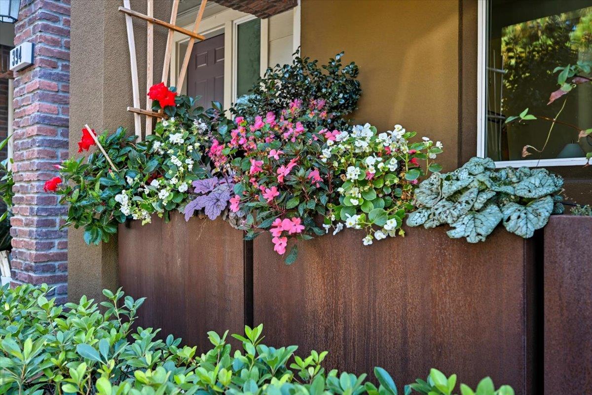 Detail Gallery Image 71 of 85 For 392 Charles Morris Ter, Sunnyvale,  CA 94085 - 4 Beds | 3 Baths