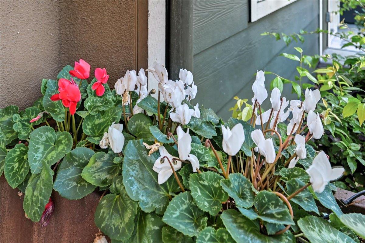 Detail Gallery Image 75 of 85 For 392 Charles Morris Ter, Sunnyvale,  CA 94085 - 4 Beds | 3 Baths