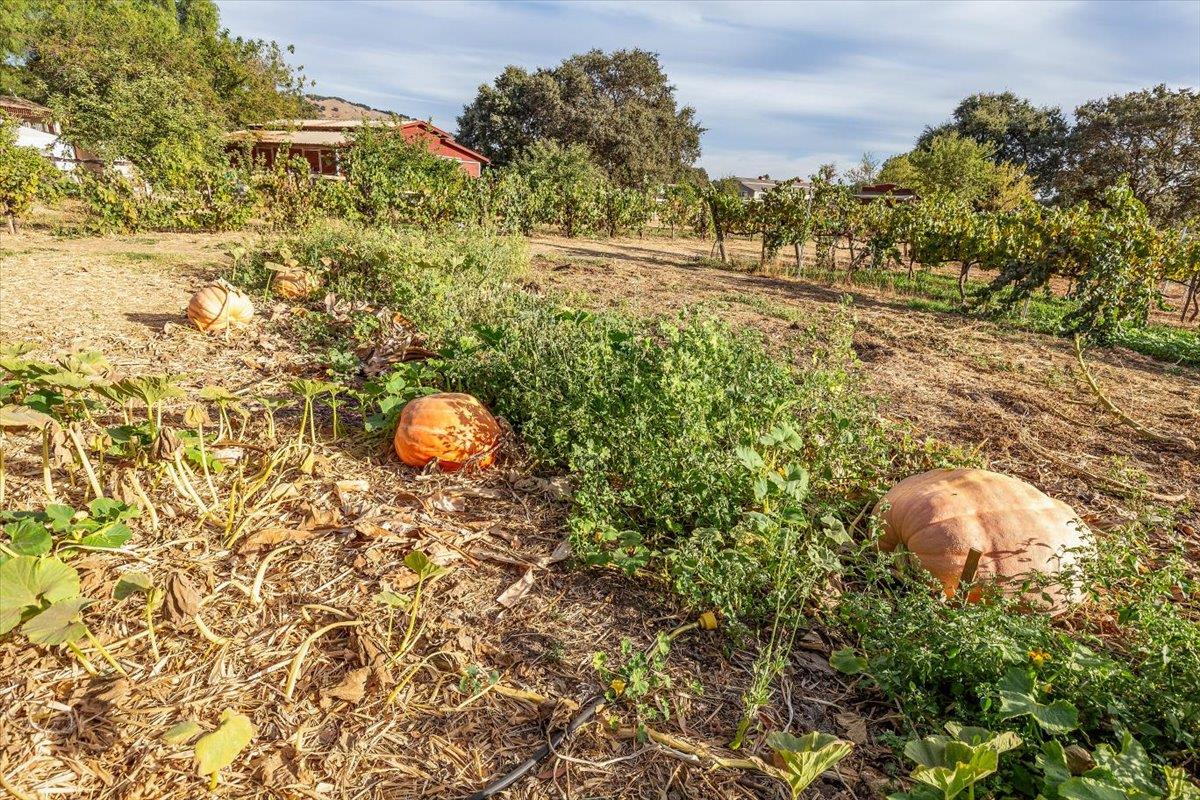 Detail Gallery Image 22 of 32 For 12467 Creekview Ct, San Martin,  CA 95046 - 4 Beds | 3 Baths