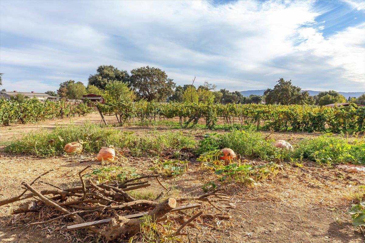 Detail Gallery Image 24 of 32 For 12467 Creekview Ct, San Martin,  CA 95046 - 4 Beds | 3 Baths