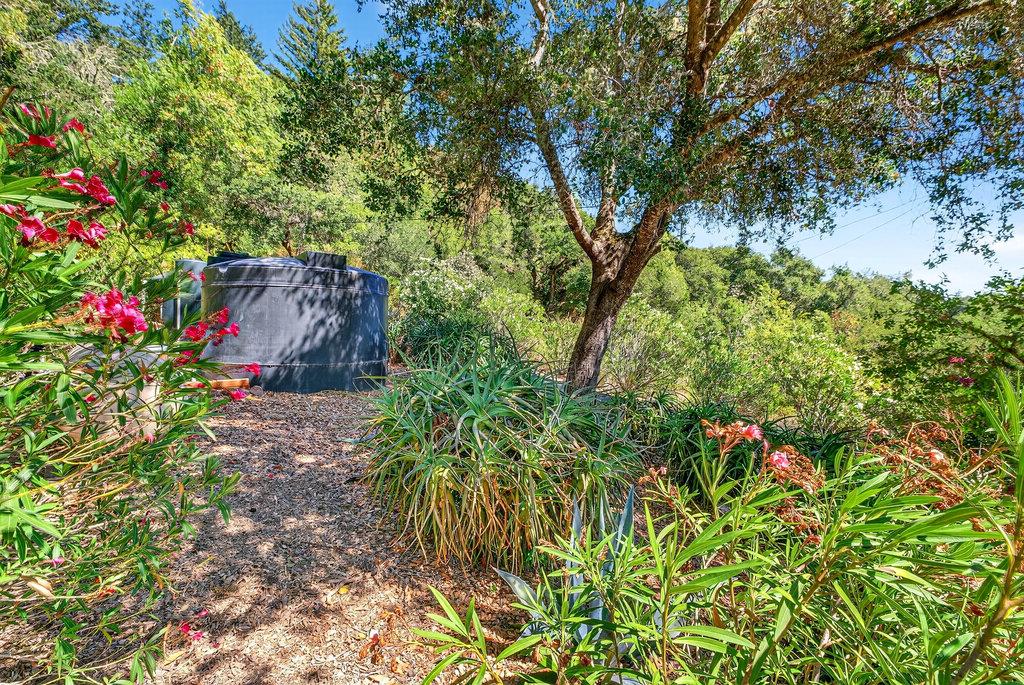 Detail Gallery Image 42 of 54 For 425 Eagle Rd, Scotts Valley,  CA 95066 - 3 Beds | 2 Baths