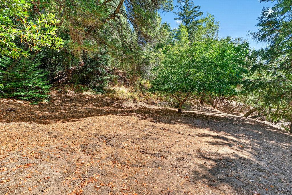 Detail Gallery Image 6 of 54 For 425 Eagle Rd, Scotts Valley,  CA 95066 - 3 Beds | 2 Baths