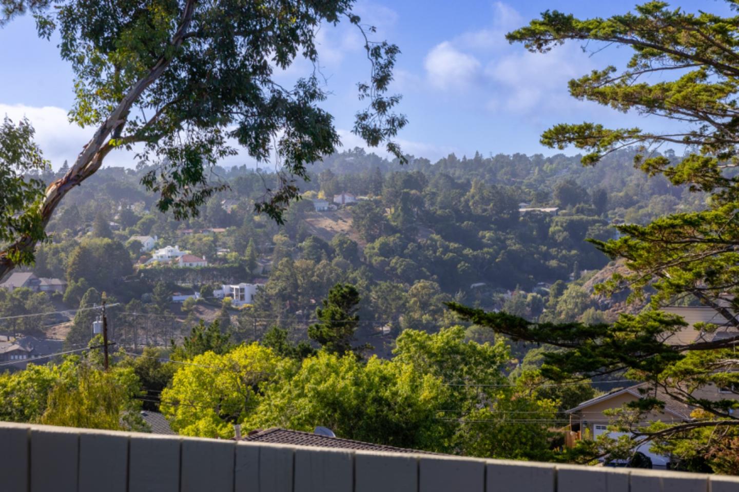 Detail Gallery Image 79 of 80 For 132 Lakeshore Dr, San Mateo,  CA 94402 - 3 Beds | 2/1 Baths