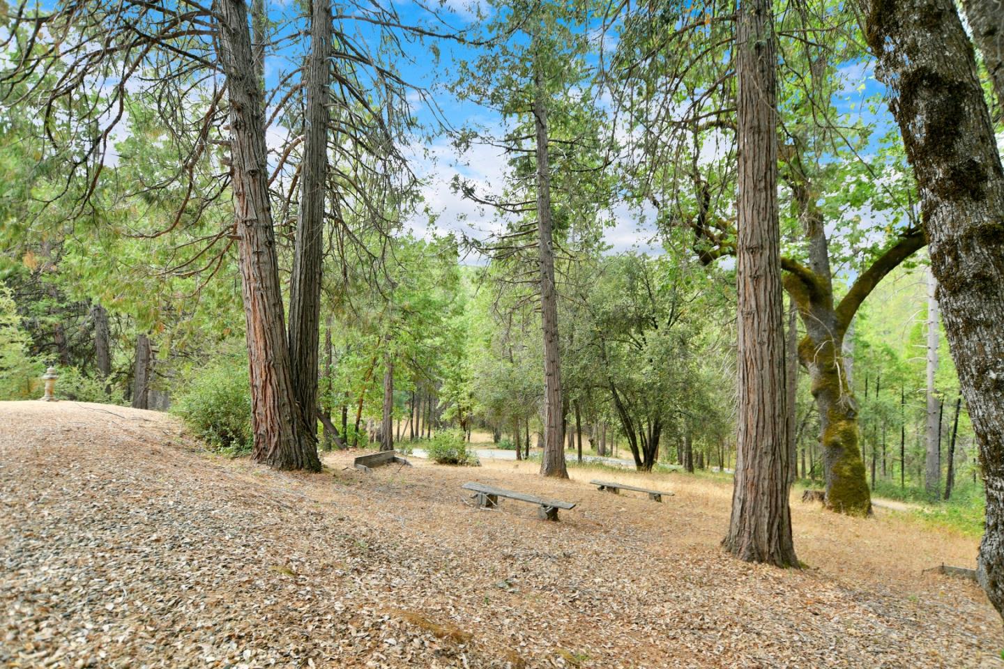 Detail Gallery Image 91 of 101 For 17533 Humbug Creek Rd, Glencoe,  CA 95232 - 2 Beds | 2 Baths