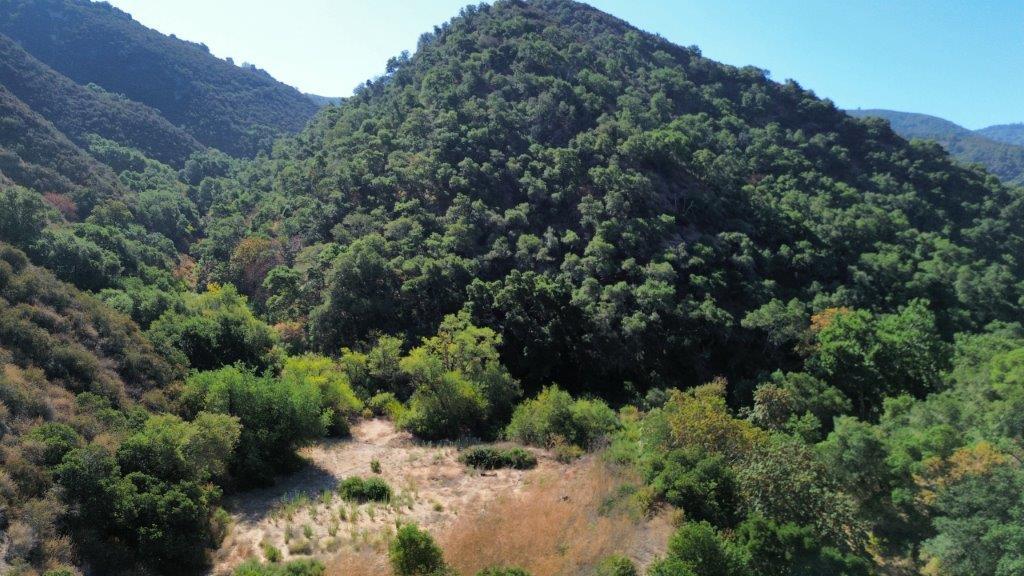 Detail Gallery Image 10 of 40 For 0 San Juan Canyon Rd, San Juan Bautista,  CA 95045 - – Beds | – Baths