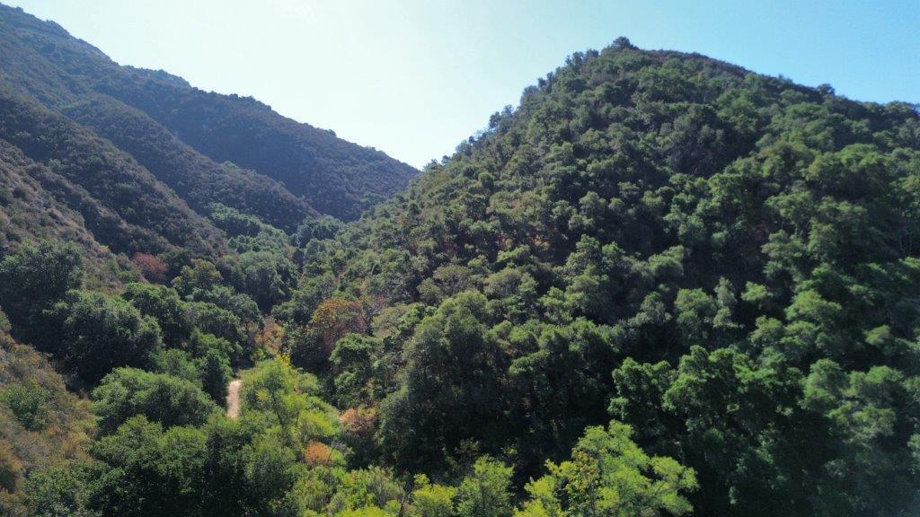 Detail Gallery Image 11 of 40 For 0 San Juan Canyon Rd, San Juan Bautista,  CA 95045 - – Beds | – Baths