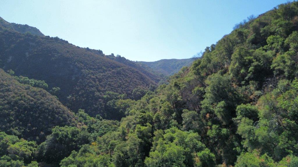 Detail Gallery Image 13 of 40 For 0 San Juan Canyon Rd, San Juan Bautista,  CA 95045 - – Beds | – Baths