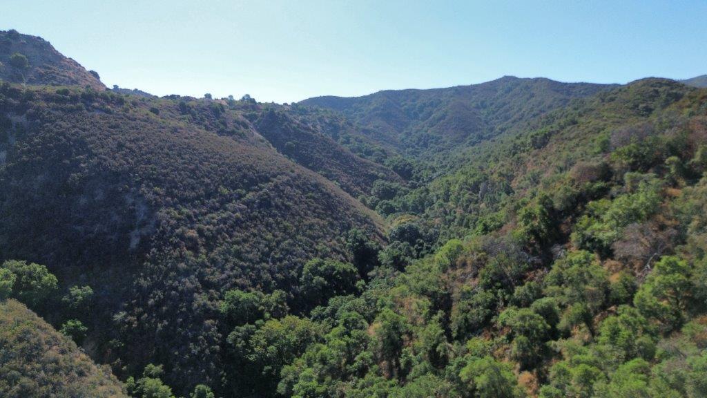 Detail Gallery Image 14 of 40 For 0 San Juan Canyon Rd, San Juan Bautista,  CA 95045 - – Beds | – Baths
