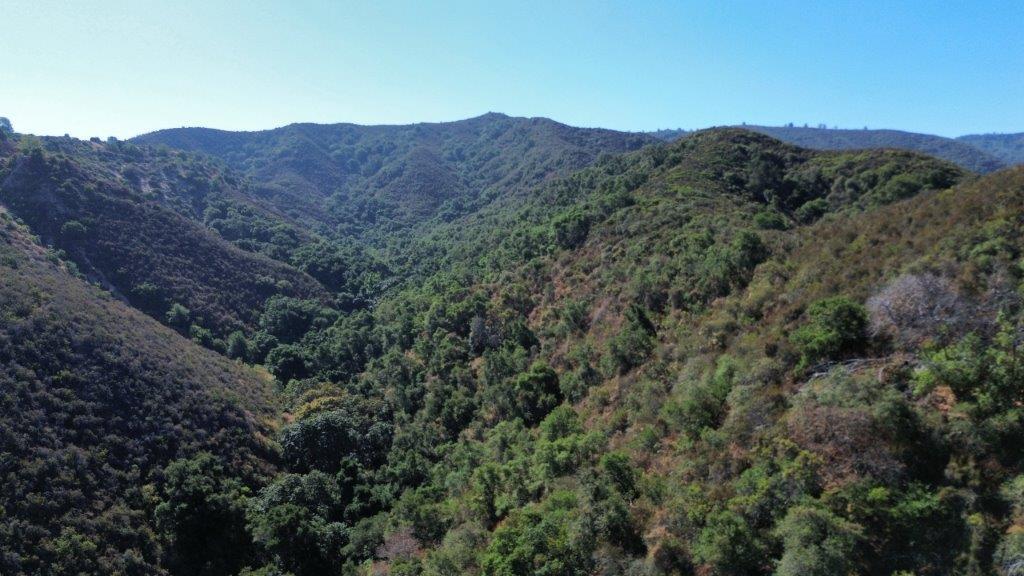 Detail Gallery Image 15 of 40 For 0 San Juan Canyon Rd, San Juan Bautista,  CA 95045 - – Beds | – Baths