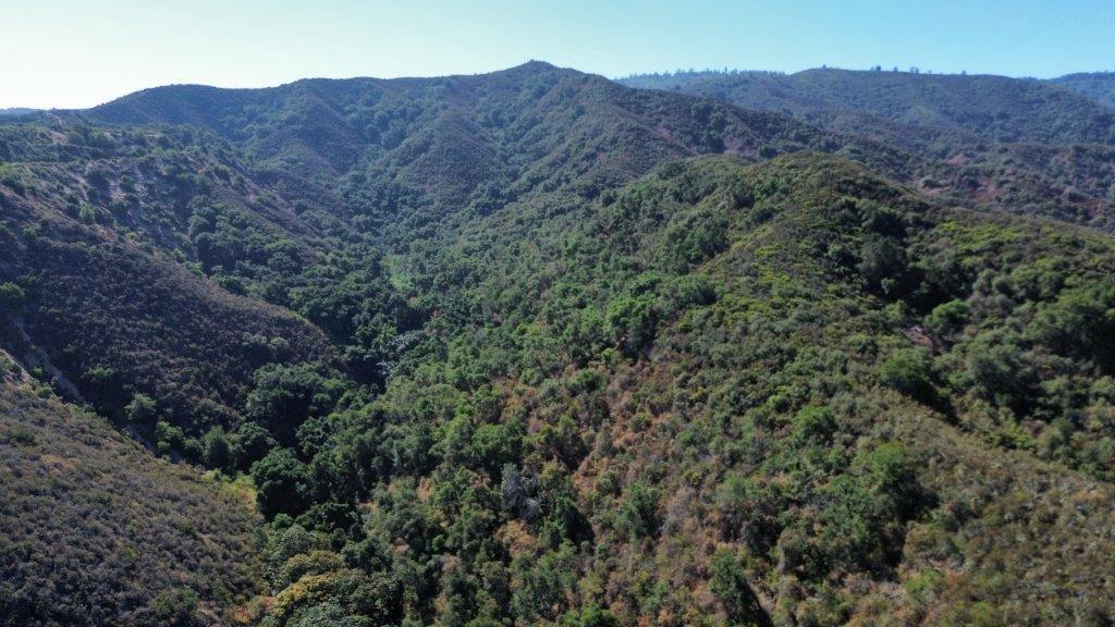 Detail Gallery Image 16 of 40 For 0 San Juan Canyon Rd, San Juan Bautista,  CA 95045 - – Beds | – Baths