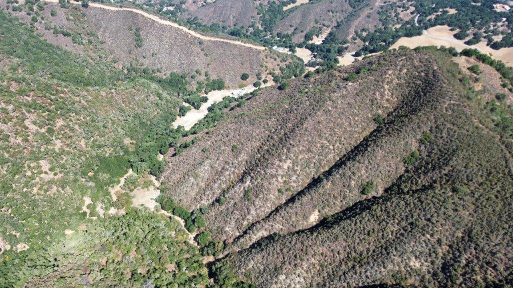 Detail Gallery Image 17 of 40 For 0 San Juan Canyon Rd, San Juan Bautista,  CA 95045 - – Beds | – Baths