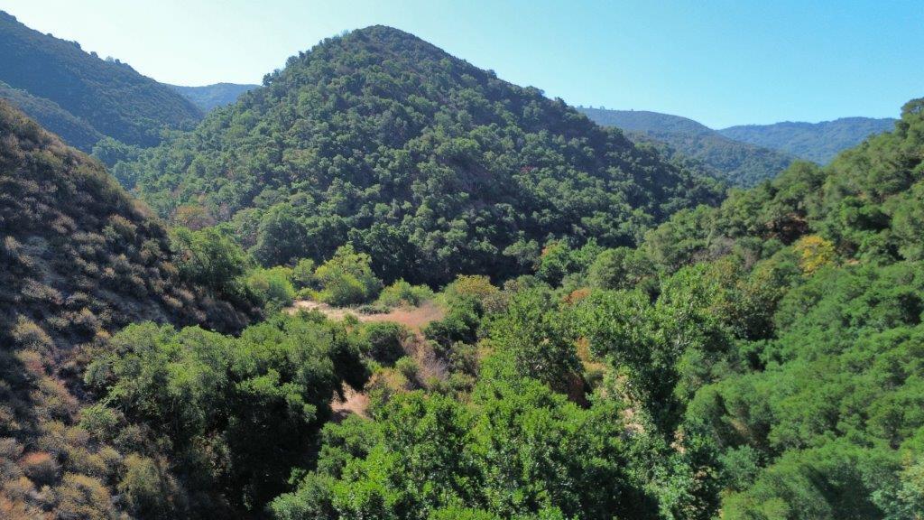 Detail Gallery Image 9 of 40 For 0 San Juan Canyon Rd, San Juan Bautista,  CA 95045 - – Beds | – Baths