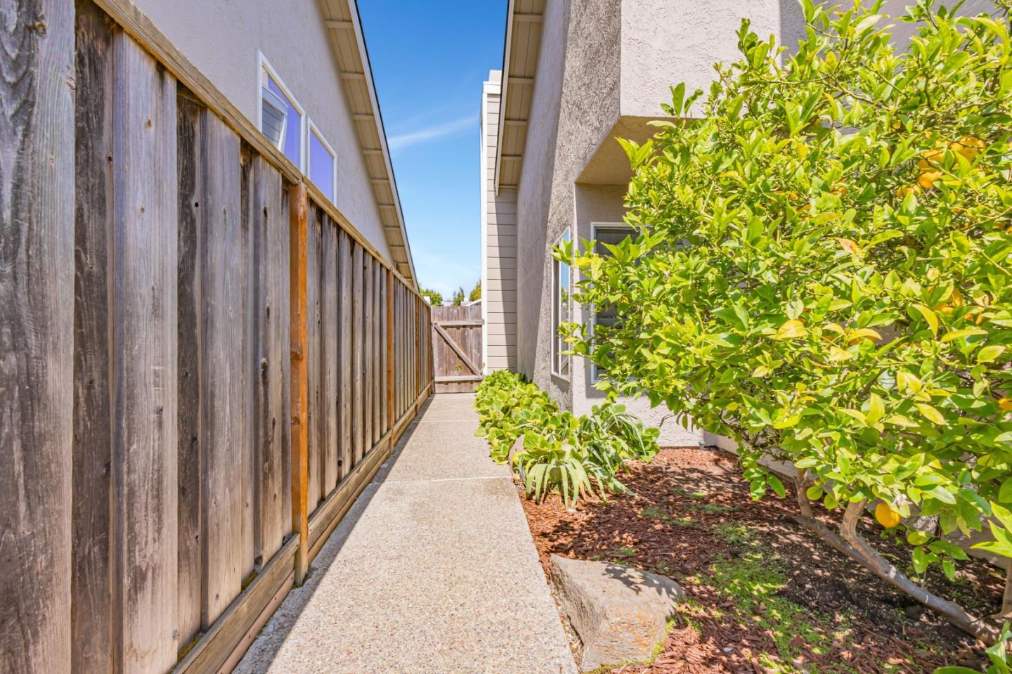 Detail Gallery Image 41 of 54 For 1003 Avalon Ave, Foster City,  CA 94404 - 4 Beds | 2/1 Baths