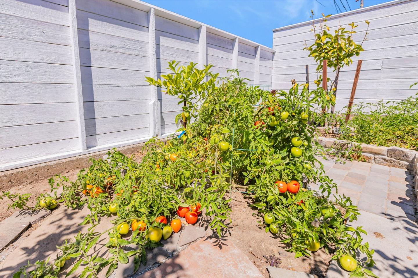 Detail Gallery Image 37 of 39 For 214 Manor Dr, South San Francisco,  CA 94080 - 2 Beds | 1 Baths