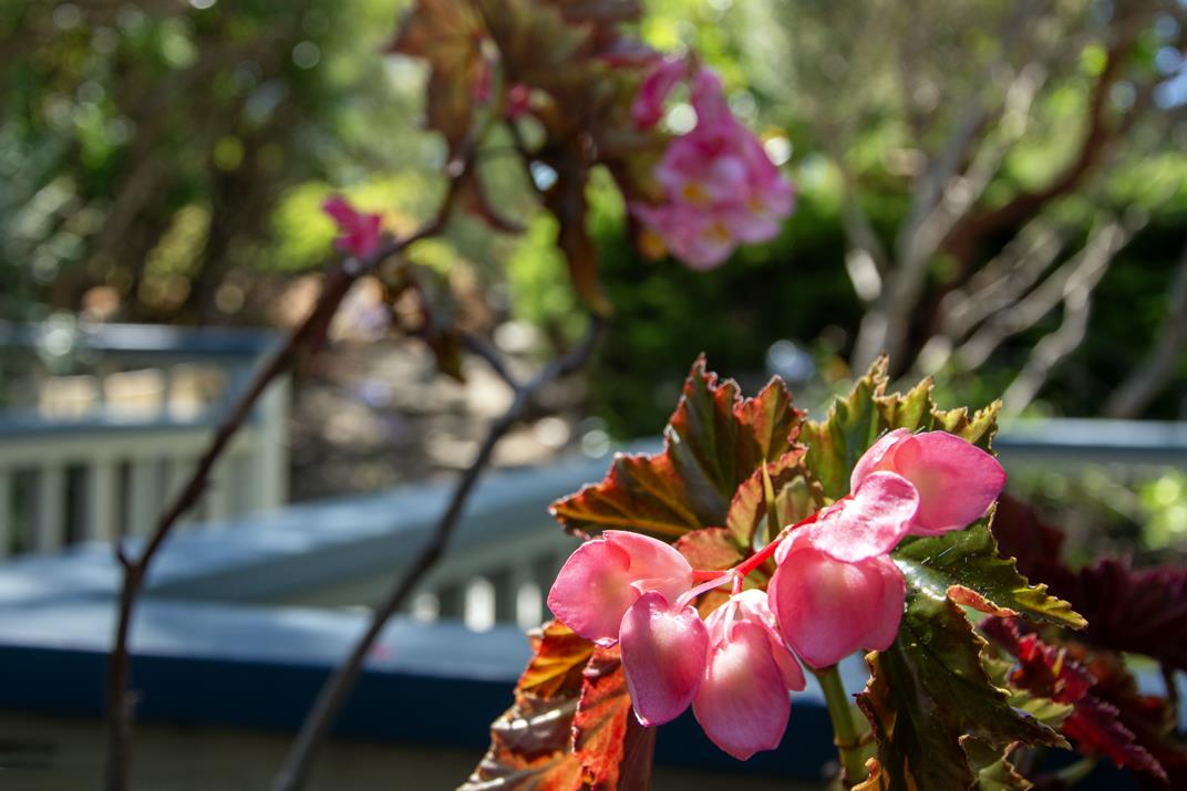 Detail Gallery Image 30 of 32 For 1430 Hidden Valley Rd, Soquel,  CA 95073 - 3 Beds | 3 Baths