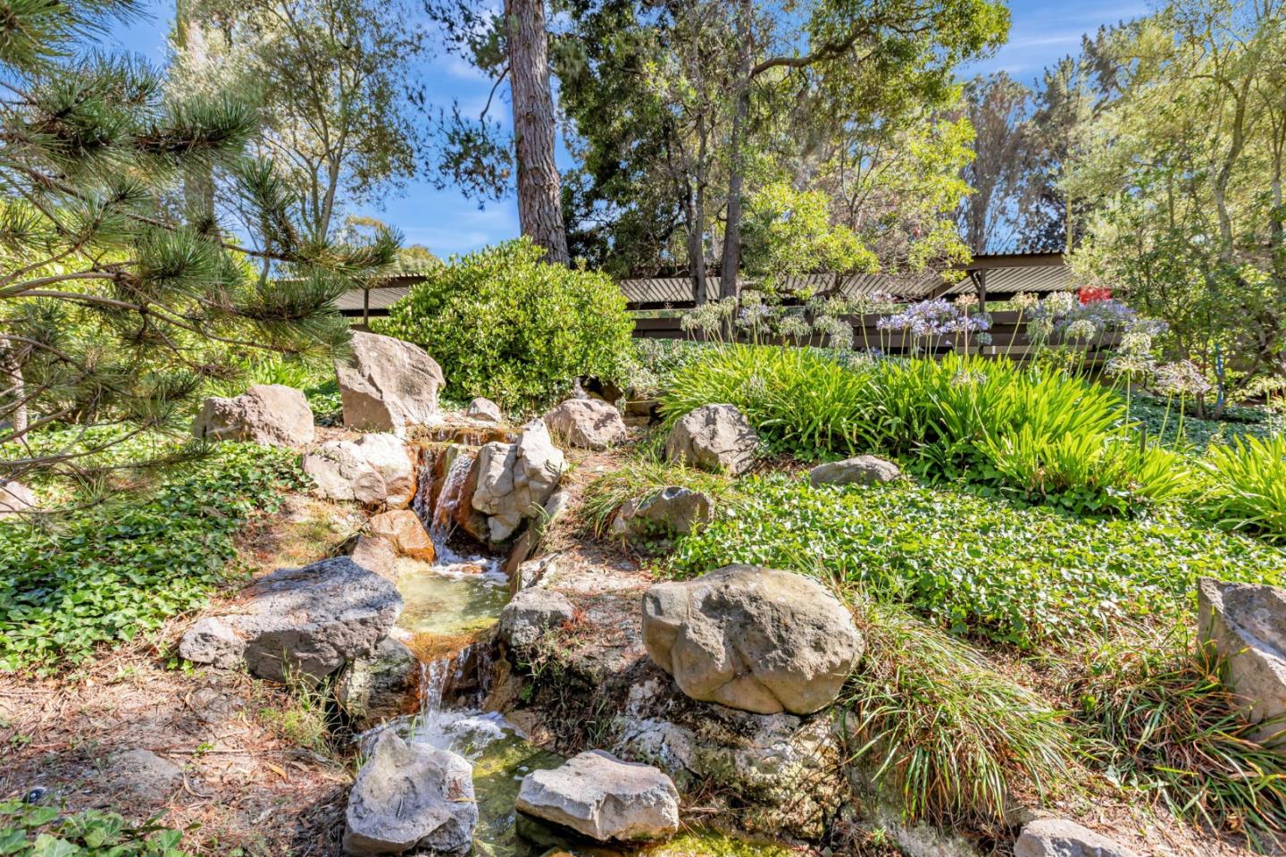 Detail Gallery Image 16 of 38 For 4359 Shelter Creek Ln, San Bruno,  CA 94066 - 1 Beds | 1 Baths