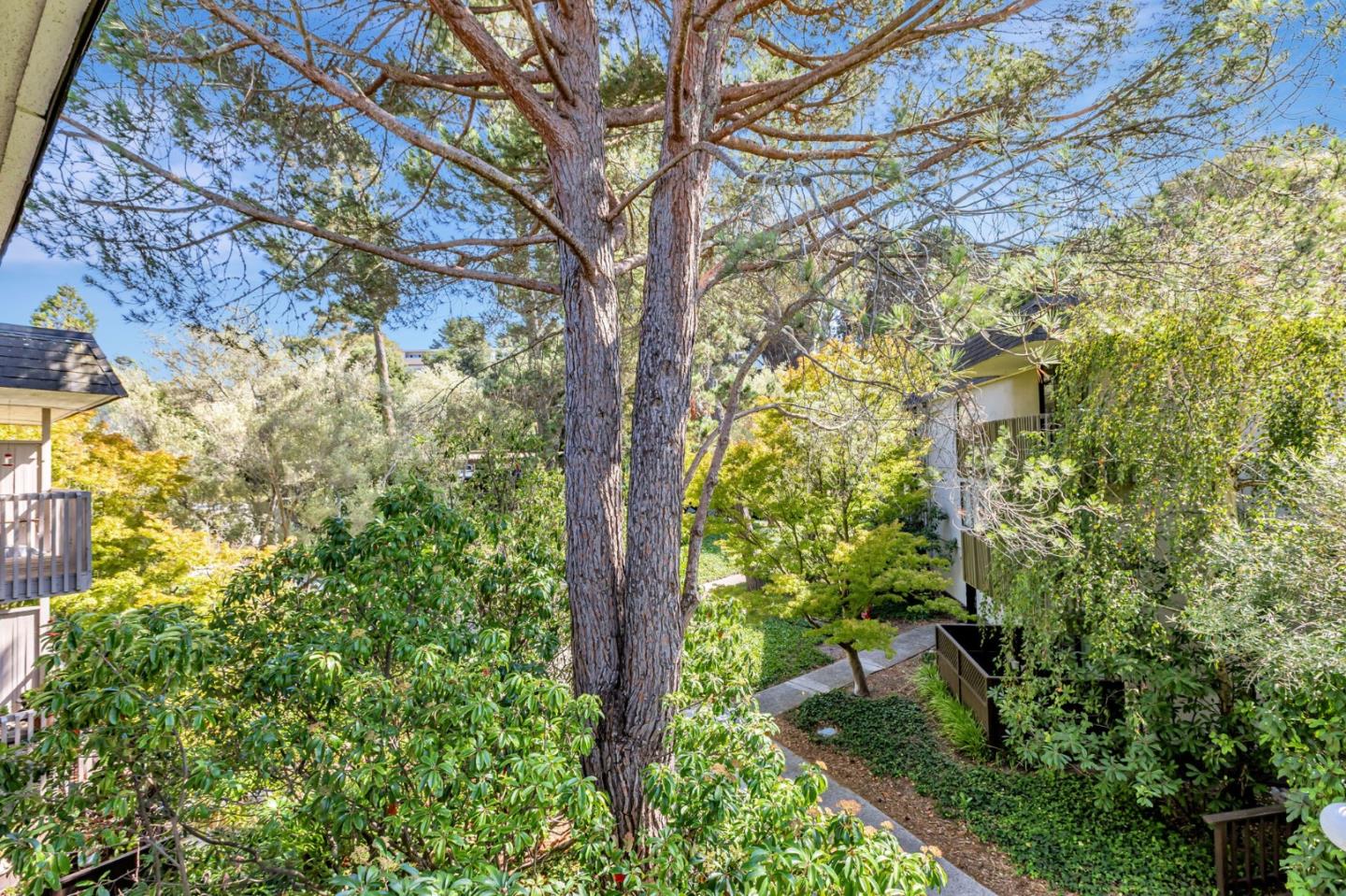 Detail Gallery Image 18 of 38 For 4359 Shelter Creek Ln, San Bruno,  CA 94066 - 1 Beds | 1 Baths