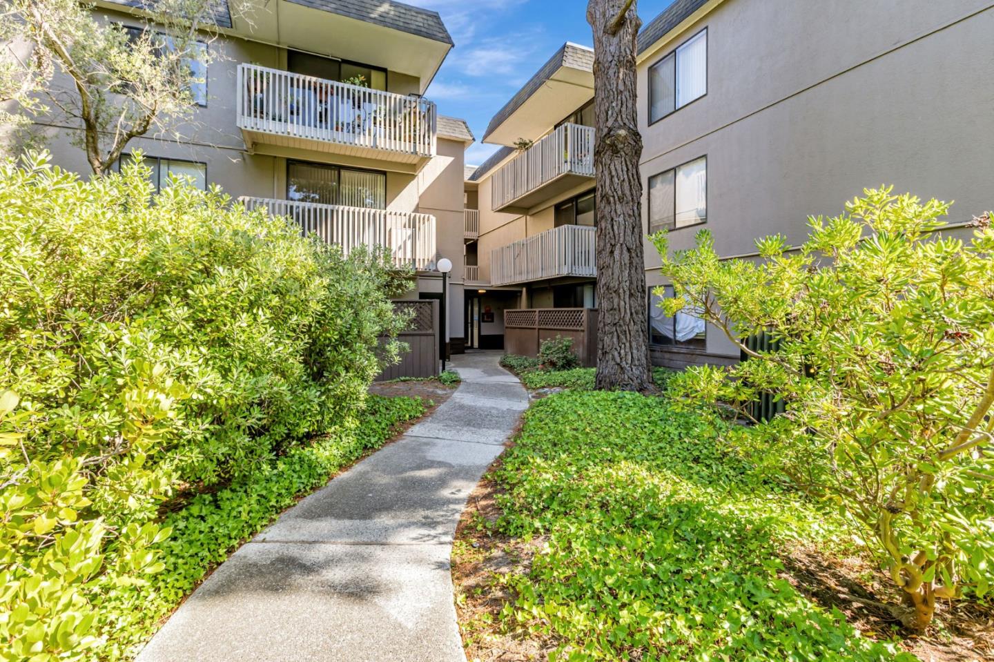Detail Gallery Image 3 of 38 For 4359 Shelter Creek Ln, San Bruno,  CA 94066 - 1 Beds | 1 Baths