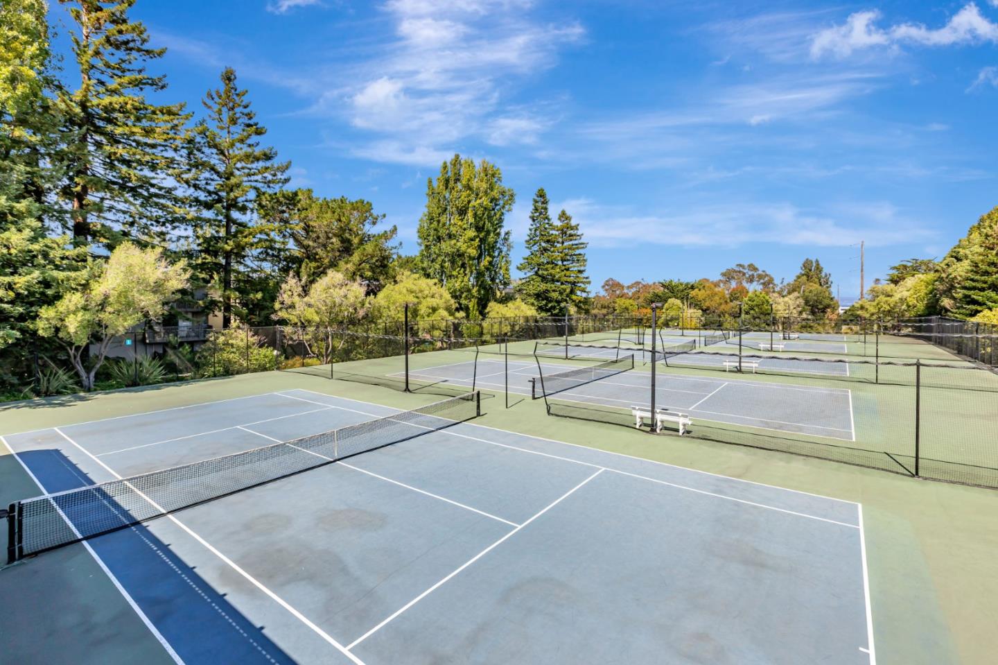 Detail Gallery Image 35 of 38 For 4359 Shelter Creek Ln, San Bruno,  CA 94066 - 1 Beds | 1 Baths