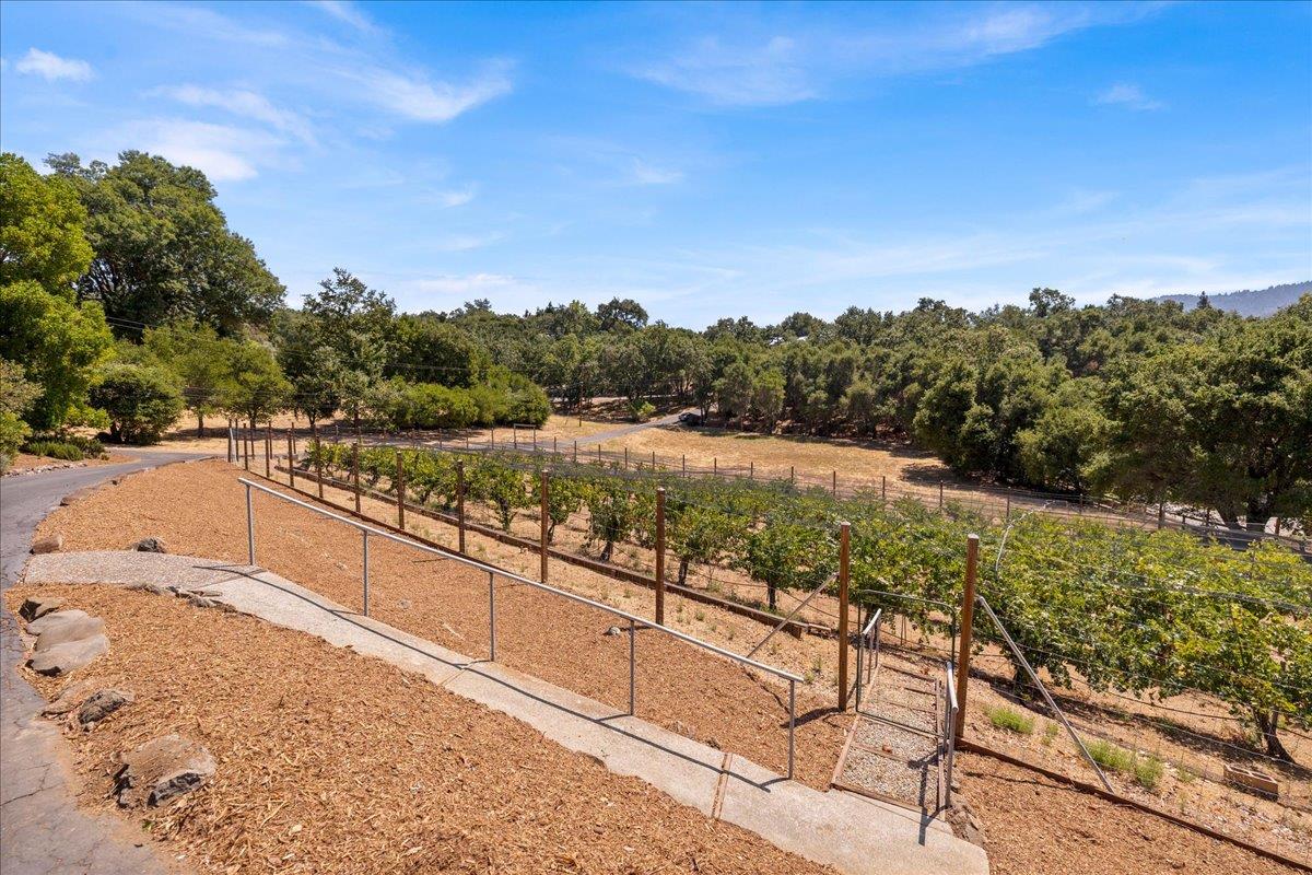 Detail Gallery Image 31 of 36 For 15 Naranja Way, Portola Valley,  CA 94028 - 4 Beds | 3 Baths