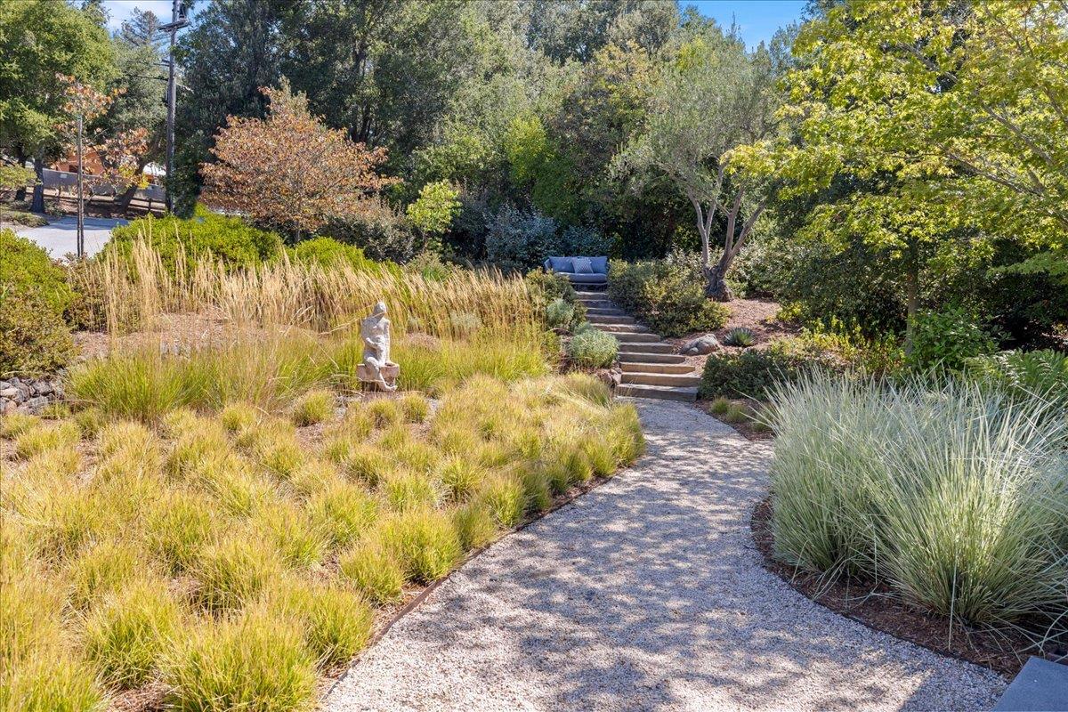 Detail Gallery Image 31 of 46 For 415 Cervantes Rd, Portola Valley,  CA 94028 - 4 Beds | 3/1 Baths
