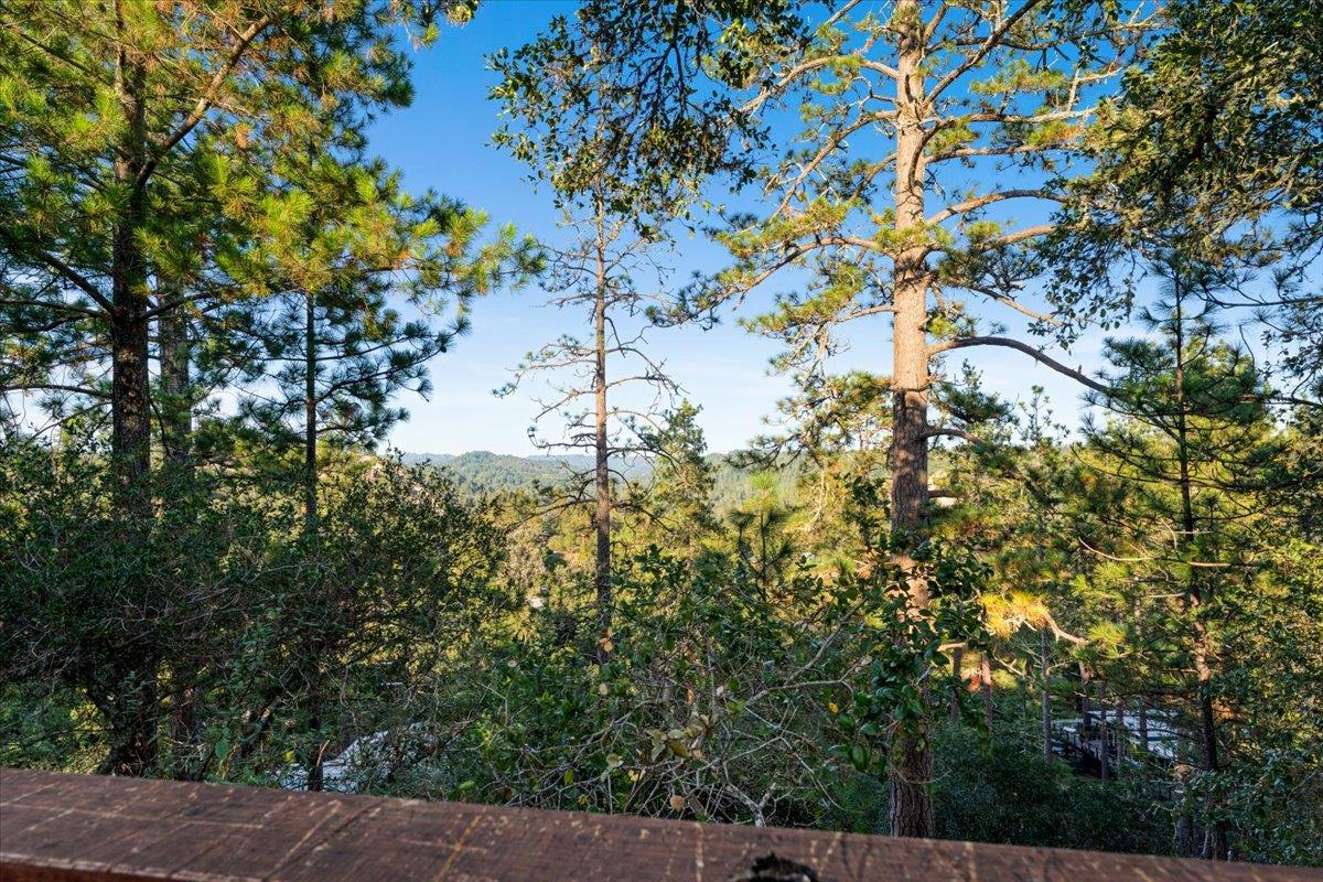 Detail Gallery Image 72 of 101 For 7409 Hihn Rd, Ben Lomond,  CA 95005 - 4 Beds | 3 Baths