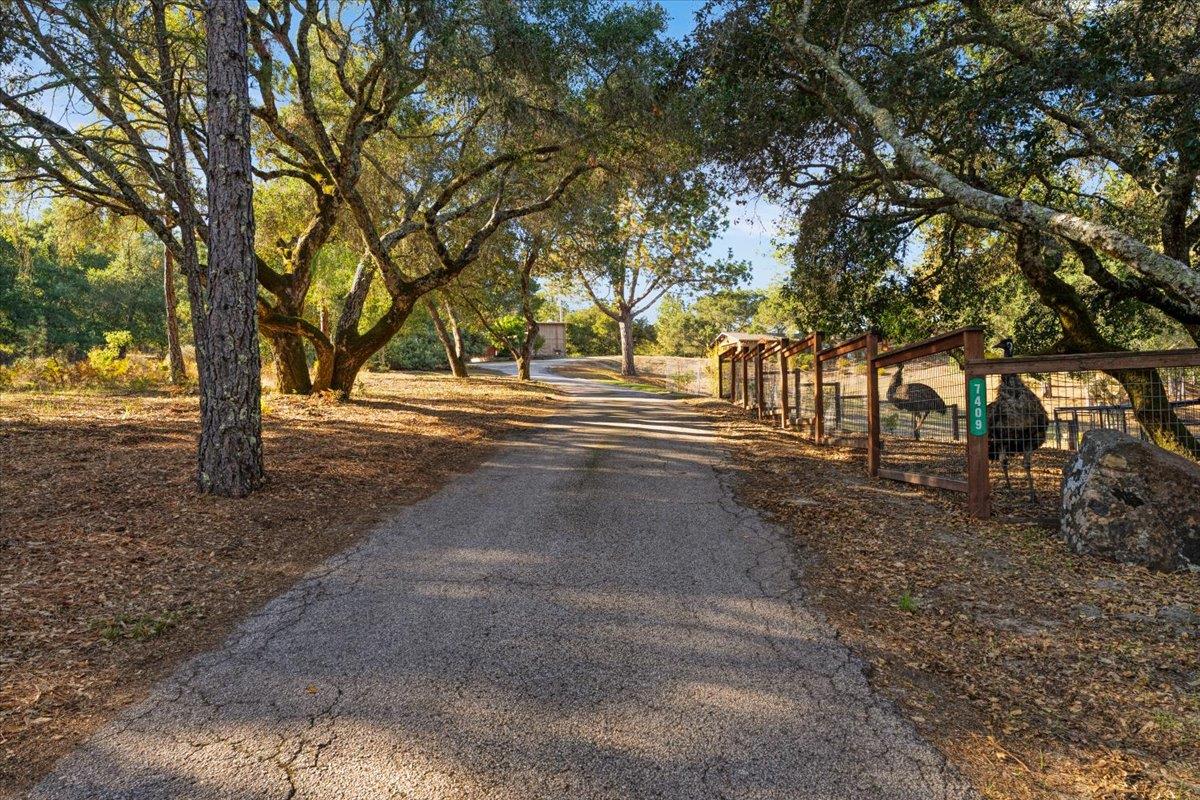 Detail Gallery Image 84 of 101 For 7409 Hihn Rd, Ben Lomond,  CA 95005 - 4 Beds | 3 Baths