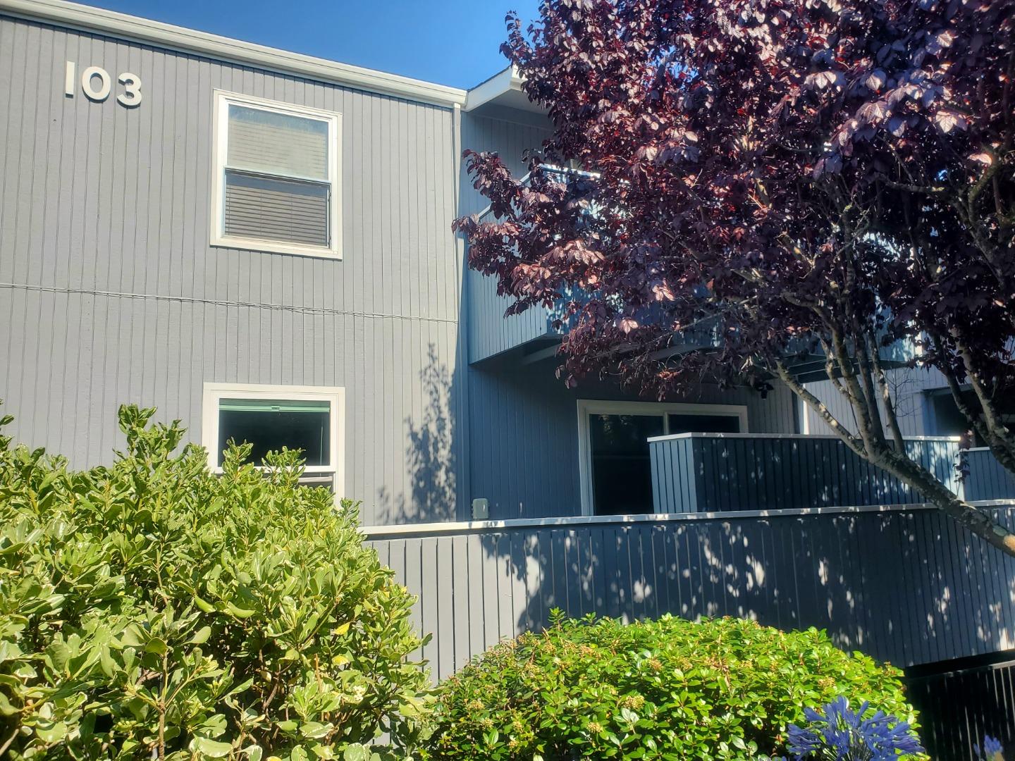 Detail Gallery Image 22 of 24 For 103 Piccadilly Pl a,  San Bruno,  CA 94066 - 1 Beds | 1 Baths