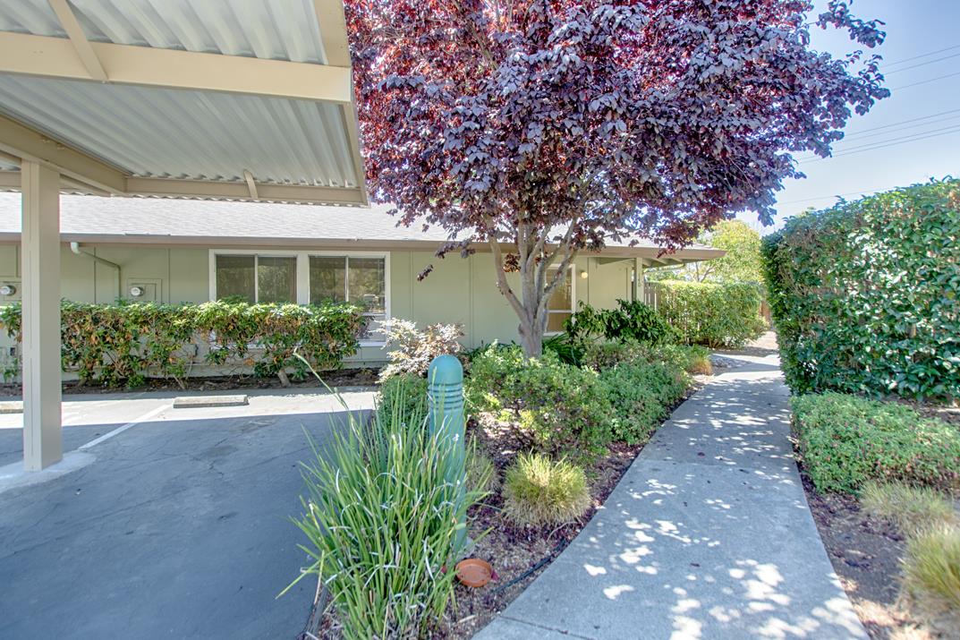 Detail Gallery Image 17 of 24 For 140 Castillion Ter, Santa Cruz,  CA 95060 - 3 Beds | 2 Baths
