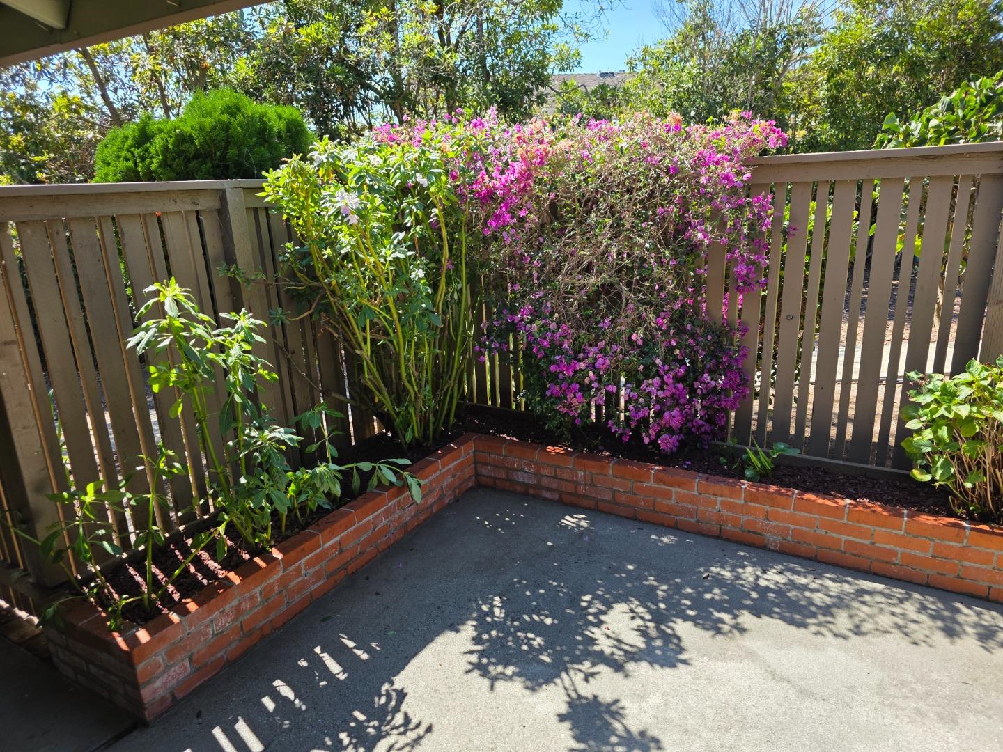 Detail Gallery Image 8 of 24 For 140 Castillion Ter, Santa Cruz,  CA 95060 - 3 Beds | 2 Baths
