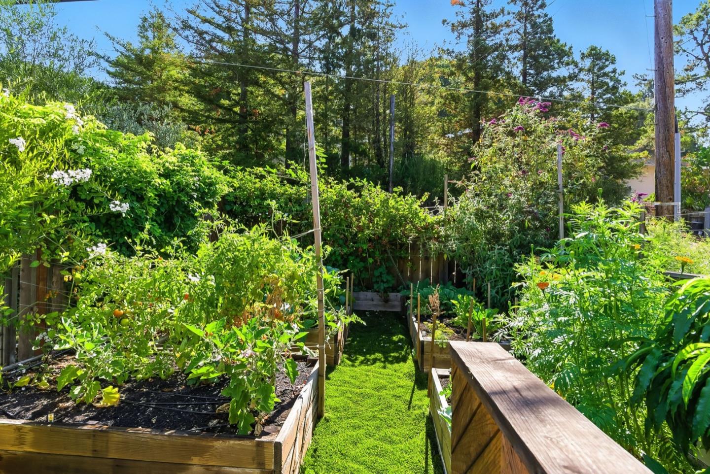 Detail Gallery Image 37 of 44 For 2608 Cipriani Blvd, Belmont,  CA 94002 - 4 Beds | 2 Baths